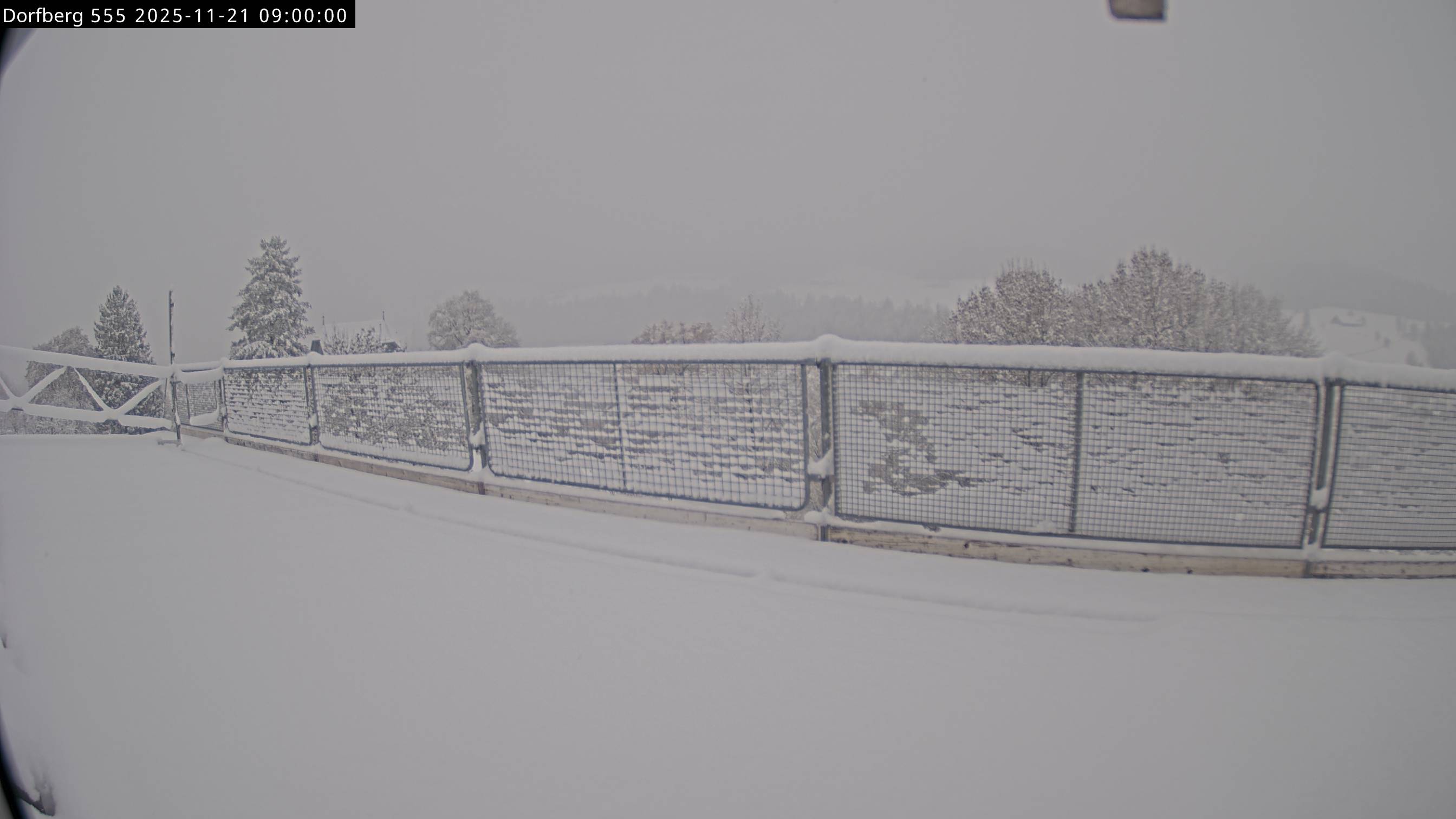 Webcam-Bild: Aussicht vom Dorfberg in Langnau 20251121-090000