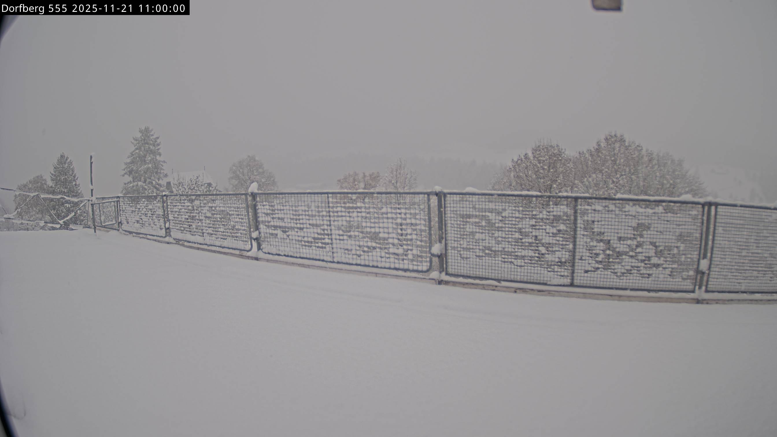 Webcam-Bild: Aussicht vom Dorfberg in Langnau 20251121-110000