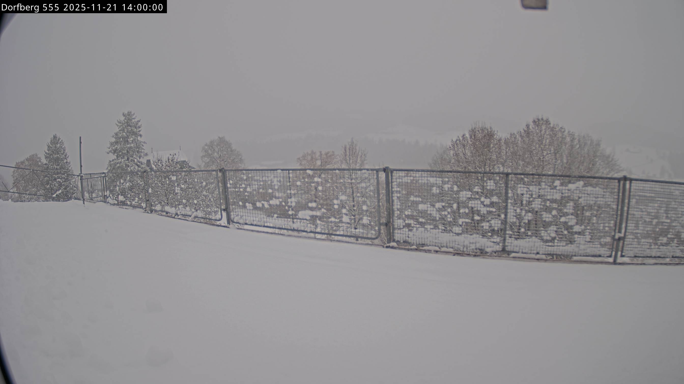 Webcam-Bild: Aussicht vom Dorfberg in Langnau 20251121-140000