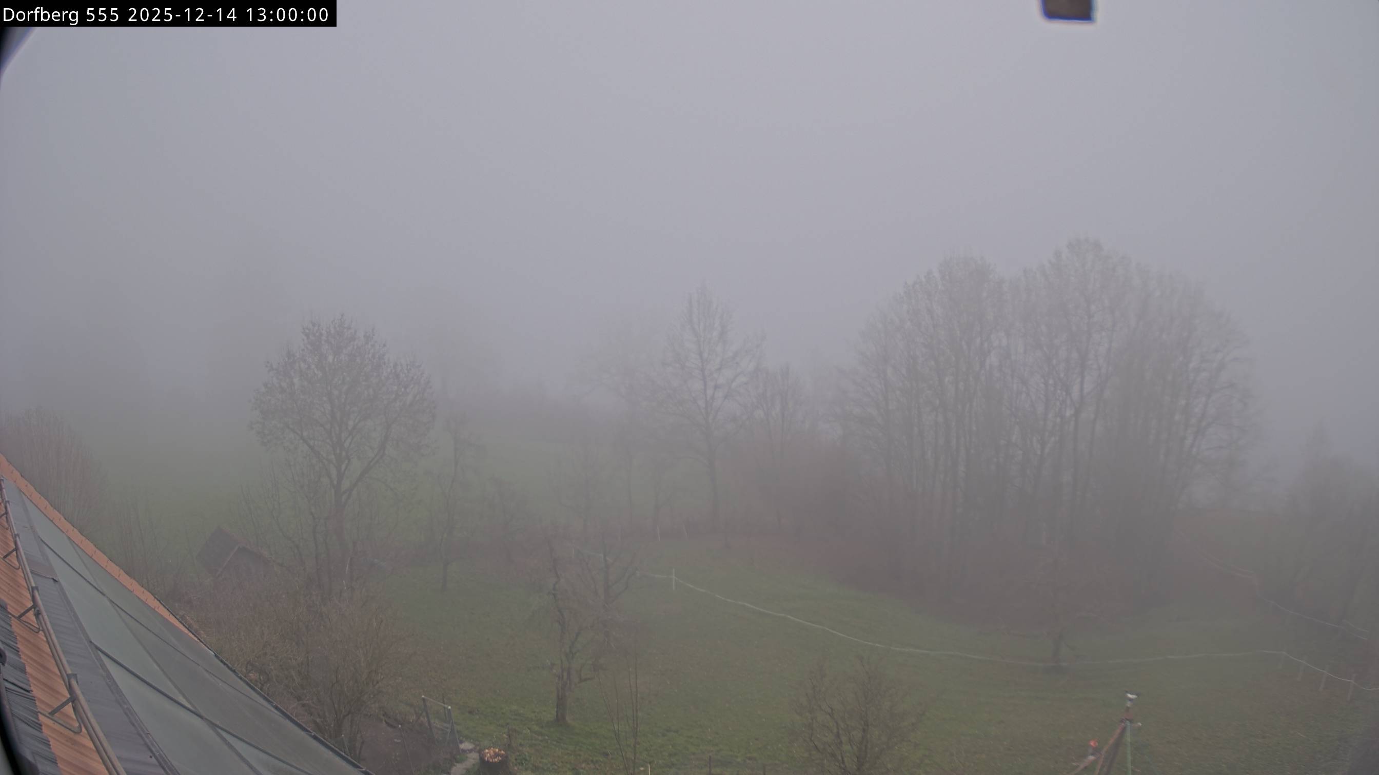 Webcam-Bild: Aussicht vom Dorfberg in Langnau 20251214-130000