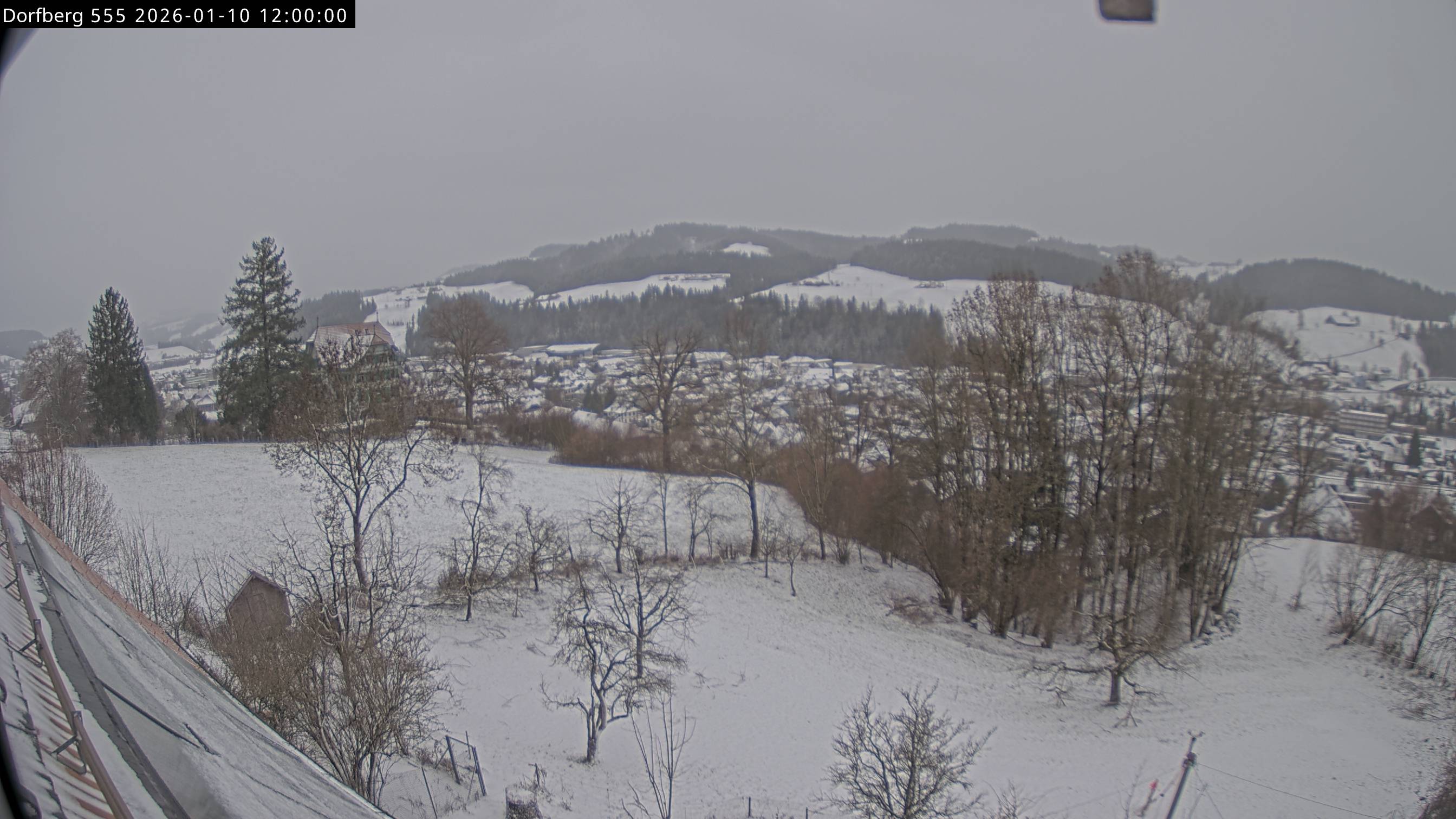 Webcam-Bild: Aussicht vom Dorfberg in Langnau 20260110-120000