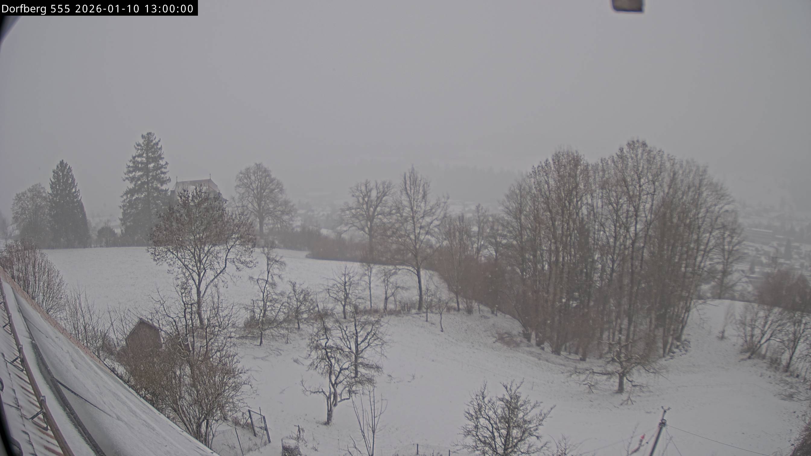 Webcam-Bild: Aussicht vom Dorfberg in Langnau 20260110-130000