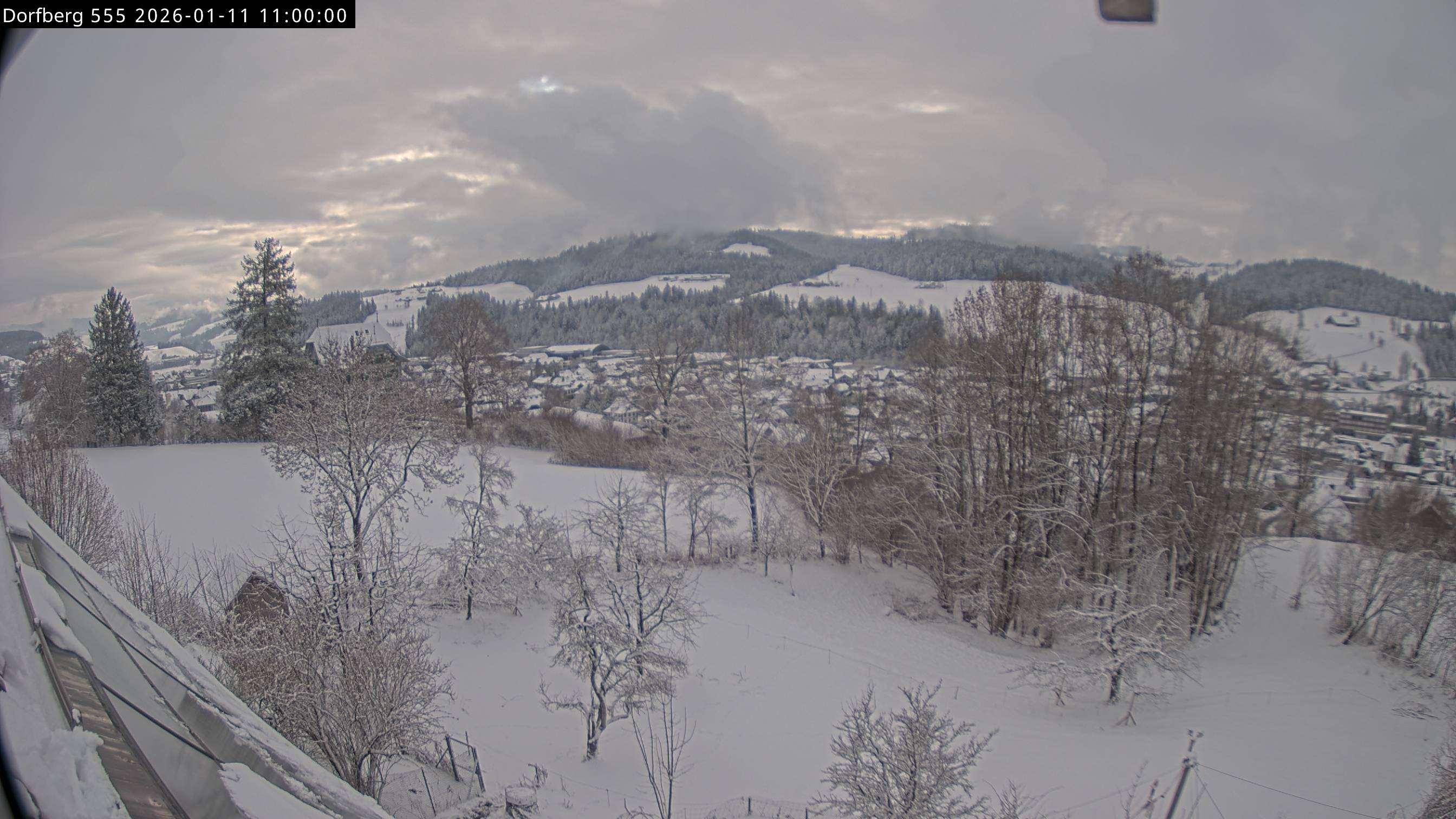 Webcam-Bild: Aussicht vom Dorfberg in Langnau 20260111-110000
