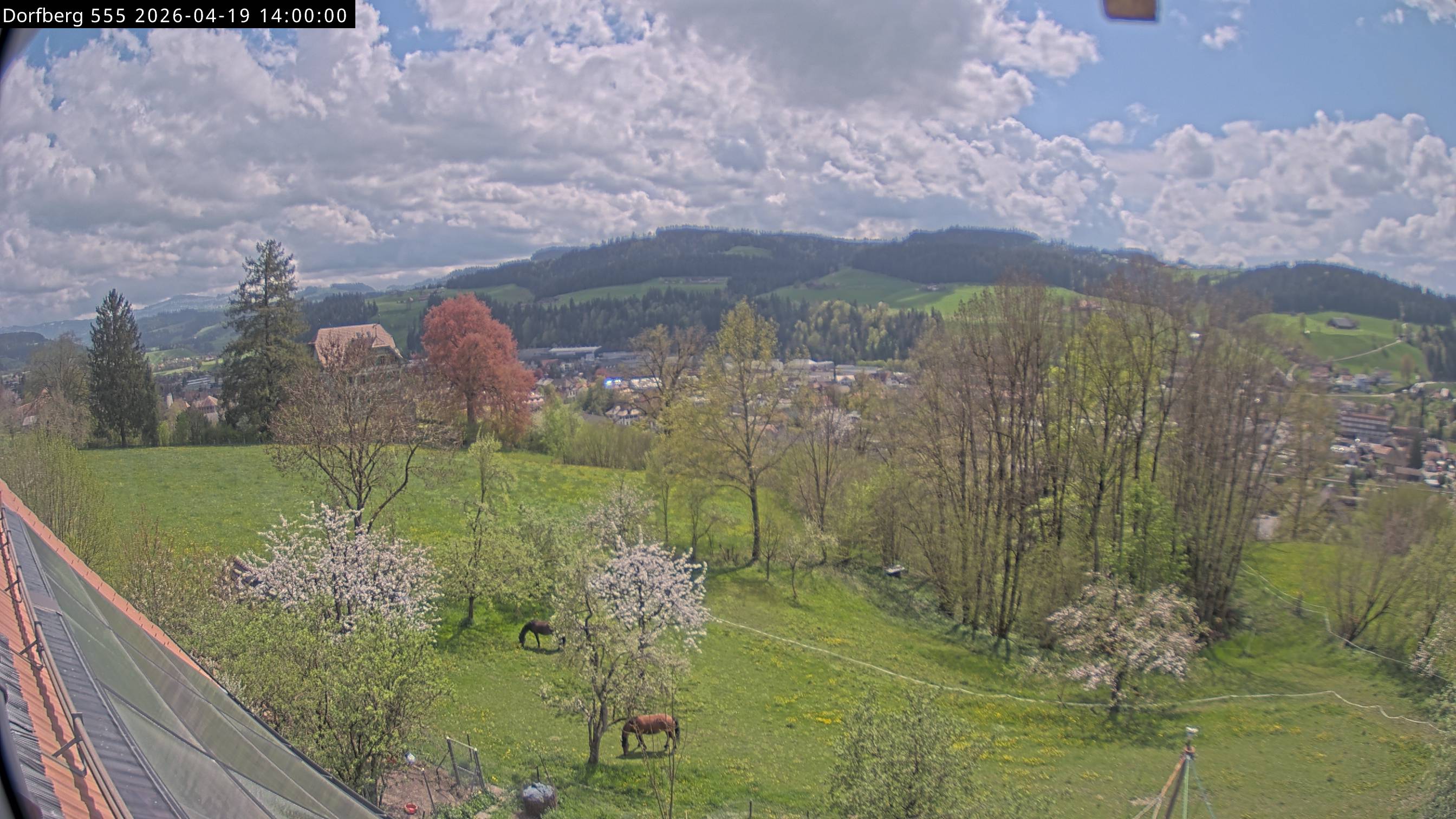 Webcam-Bild: Aussicht vom Dorfberg in Langnau 20260419-140000
