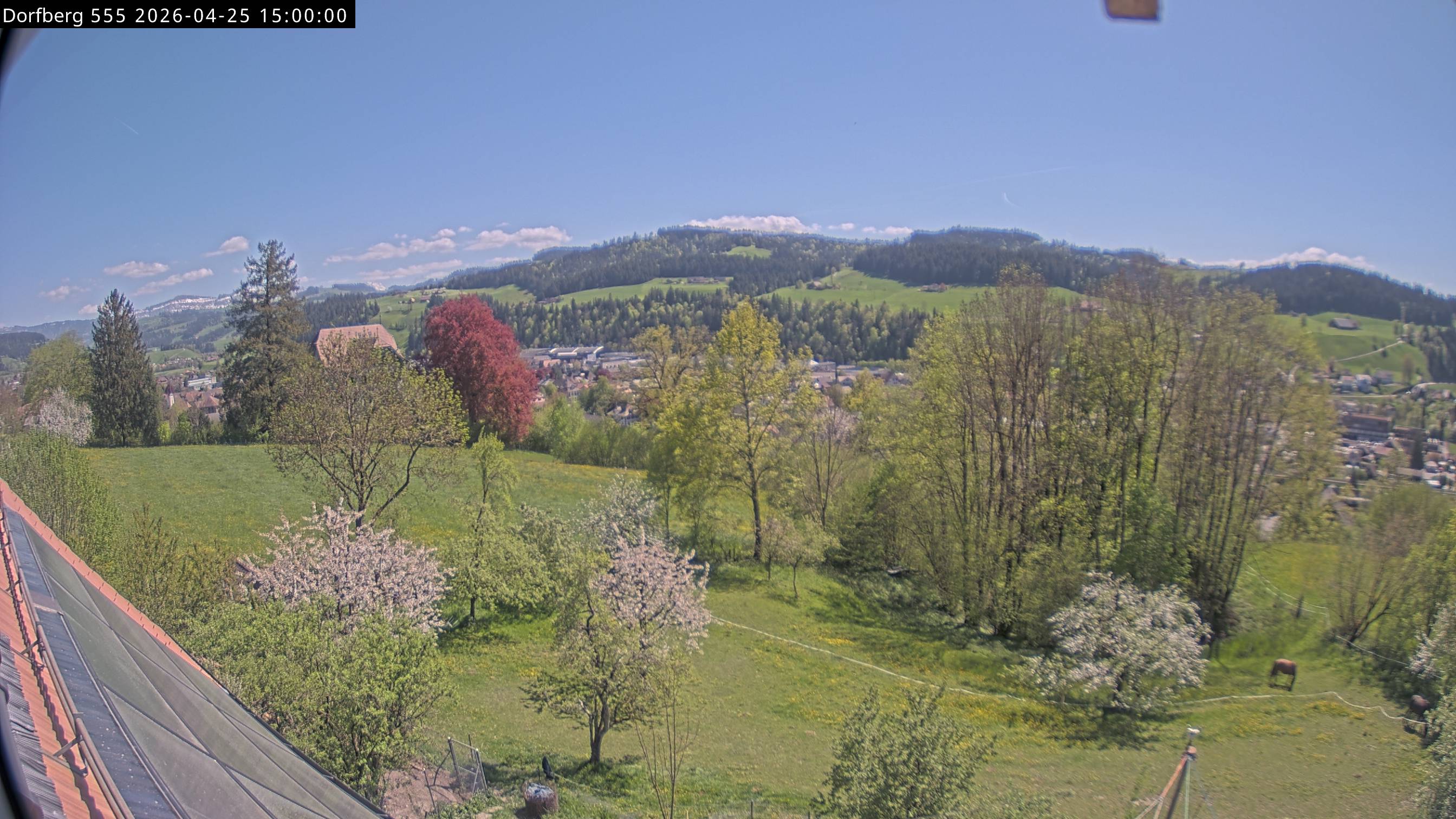 Webcam-Bild: Aussicht vom Dorfberg in Langnau 20260425-150000